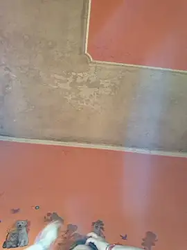 ducicsajsziii online show from 04/22/26, 07:55