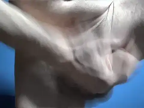 Pol8822 online show from 03/04/26, 11:44