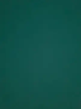 Snapshot of Ruby_bear chatting on 03/08/25, 08:55 Ruby bear online show from 03/08/25, 08:55