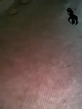 Snapshot of Ruby_bear chatting on 12/19/25, 03:46 Ruby bear online show from 12/19/25, 03:46