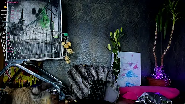 little grinch666 online show from 01/30/25, 07:59