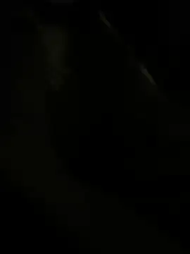 Snapshot of RoodoggXL chatting on 03/22/25, 03:20 RoodoggXL online show from 03/22/25, 03:20