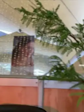 Emilia Bakerr online show from 12/15/24, 09:31