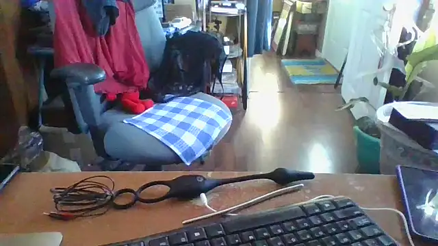 Daremeknot online show from 12/12/24, 02:55