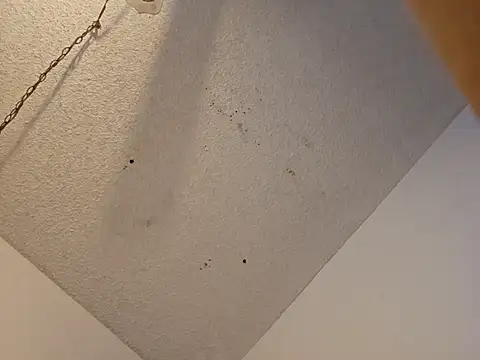 anyway2cum online show from 01/19/25, 02:59
