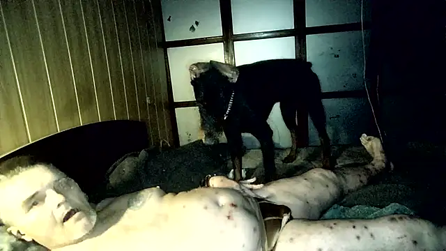 DjiniCD online show from 04/26/26, 05:43