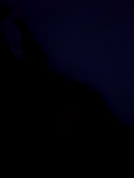 stefanie010 online show from 03/19/26, 11:36