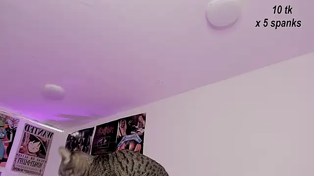 Sachi Meow online show from 10/26/25, 12:00