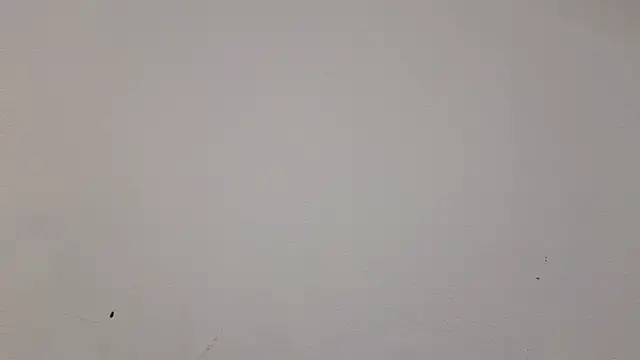 Snapshot of __Nina chatting on 02/19/25, 01:06 Nina online show from 02/19/25, 01:06