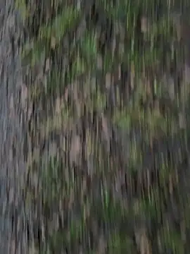 Przystojniak77 online show from 12/20/25, 02:24