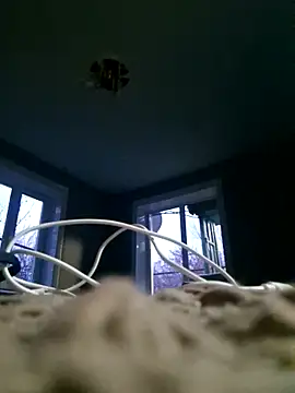 WhoreAnalsssxxx online show from 03/31/26, 03:56