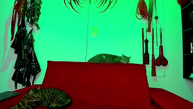 irregular fetish  online show from 02/26/26, 07:46