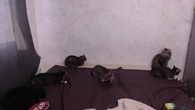 Olivia Winston online show from 03/20/26, 12:54