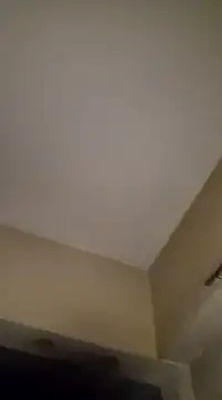 gala2 online show from 01/19/25, 06:31