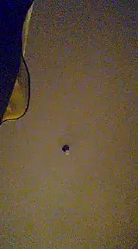 gala2 online show from 02/13/25, 08:06