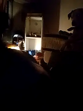 gala2 online show from 03/14/25, 06:42