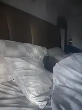 CeceilaMoon online show from 04/21/26, 01:06