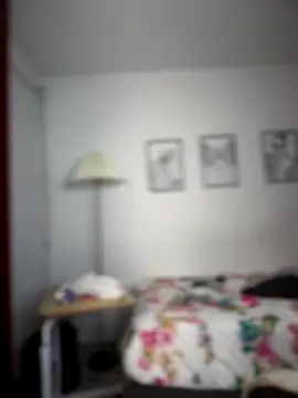 horny roomiess online show from 11/25/25, 11:49