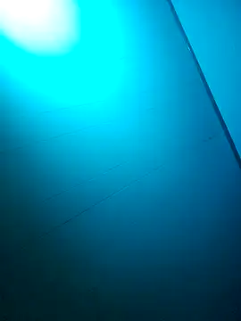 nicedicknicetats online show from 10/31/25, 05:08