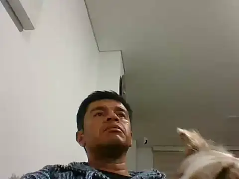 perxxxeo  online show from 10/11/25, 01:38