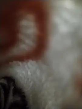 FantasticWonders9 online show from 04/12/26, 10:26