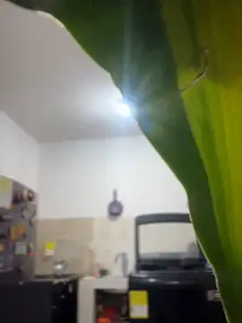 emily rosse04 online show from 03/04/26, 11:16