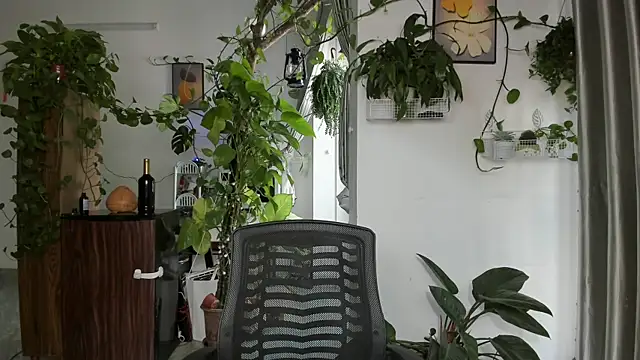 Oliver Nl online show from 01/07/26, 04:48