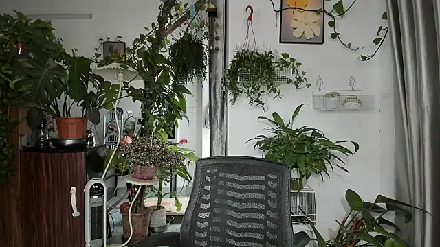 Oliver Nl online show from 03/13/26, 05:03