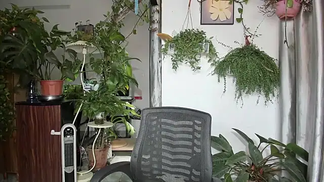 Oliver Nl online show from 04/16/26, 04:46