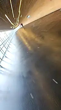 eltoulou online show from 01/20/25, 01:21