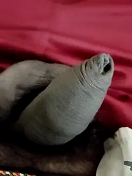 Snapshot of Ashish02345 chatting on 01/24/25, 08:22 Ashish02345 online show from 01/24/25, 08:22