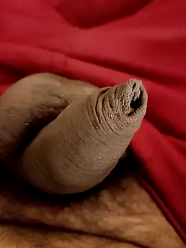 Snapshot of Ashish02345 chatting on 01/25/25, 08:31 Ashish02345 online show from 01/25/25, 08:31