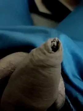 Snapshot of Ashish02345 chatting on 01/28/25, 08:58 Ashish02345 online show from 01/28/25, 08:58