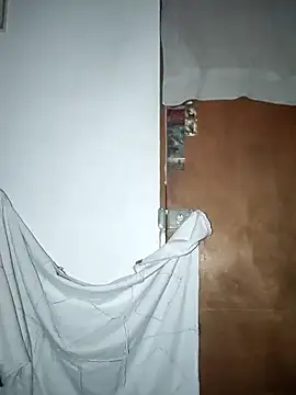 Snapshot of Juanroom chatting on 10/29/25, 04:04 Juanroom online show from 10/29/25, 04:04