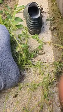 anald66666 online show from 04/23/26, 12:29