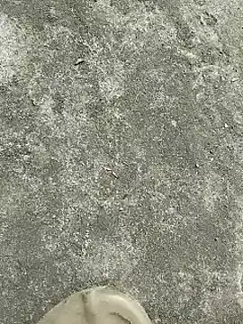 rana cute online show from 12/22/24, 07:22