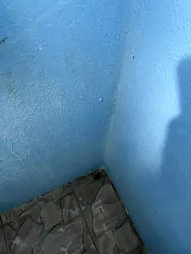 mfloressd14 online show from 01/08/26, 06:21