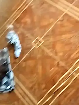 socrathes online show from 02/26/26, 12:26