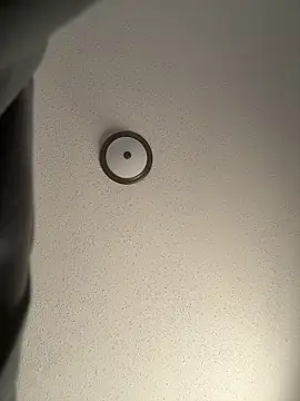 ebonyred online show from 12/21/25, 02:24