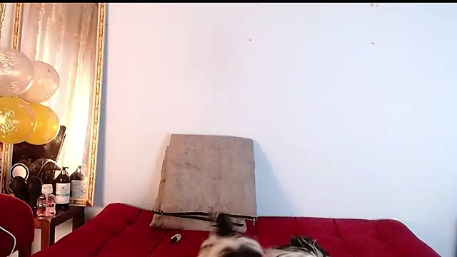 Tamararios online show from 11/27/25, 10:01