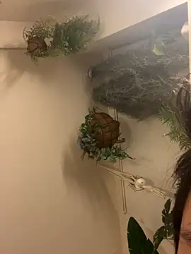 IroManager online show from 09/15/25, 01:44