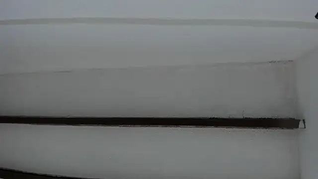 Oriana Guzman online show from 01/20/25, 10:40