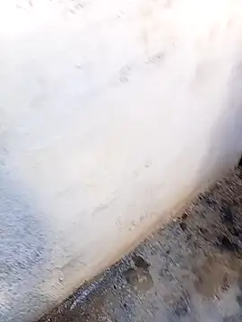 rau 4455 online show from 11/05/25, 11:10