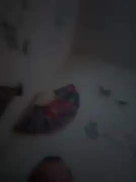 Snapshot of PnP4U2 chatting on 01/16/26, 06:39 PnP4U2 online show from 01/16/26, 06:39