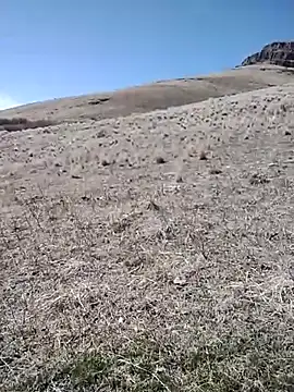 rockpimp online show from 03/09/26, 06:56