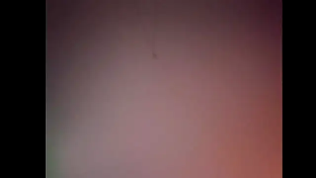 Pegg-fist-me online show from 11/28/25, 12:02