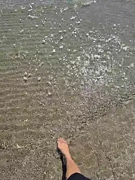 SexyErola27 online show from 03/24/26, 12:32