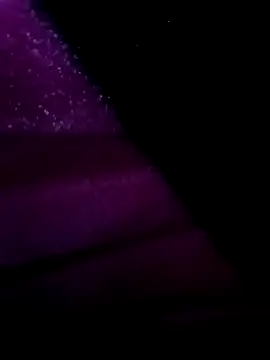 egyptman220 online show from 03/12/26, 11:22