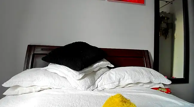 Snapshot of aleziiacam chatting on 01/31/25, 10:10 aleziiacam online show from 01/31/25, 10:10