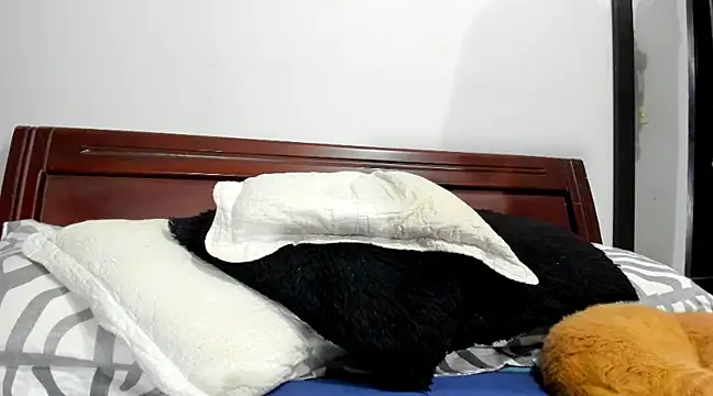 Snapshot of aleziiacam chatting on 02/14/25, 03:11 aleziiacam online show from 02/14/25, 03:11